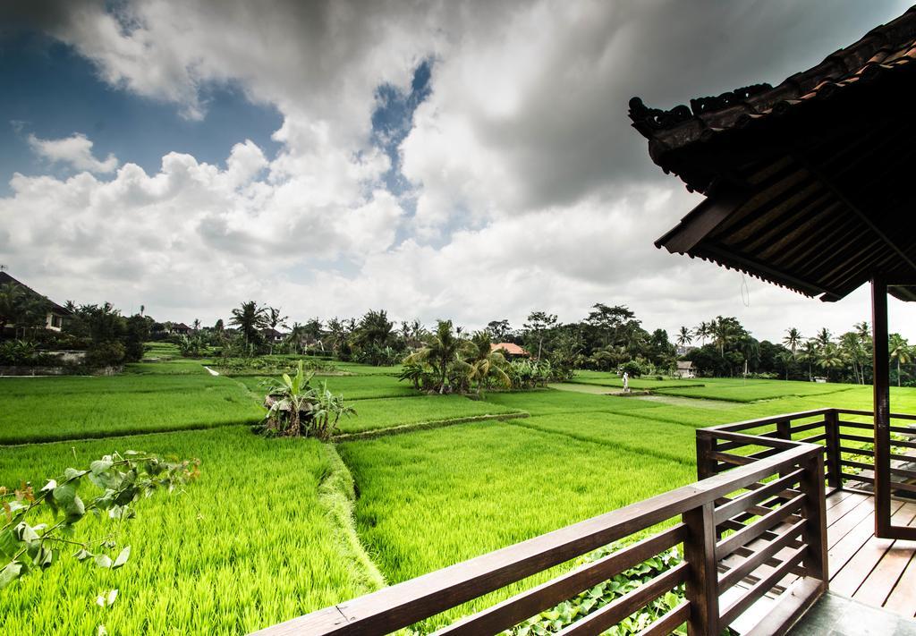 Villa Kami Ubud Buitenkant foto